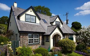 Windows in Newton Abbot
