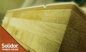 Hardwood Doors Devon Newton Abbot